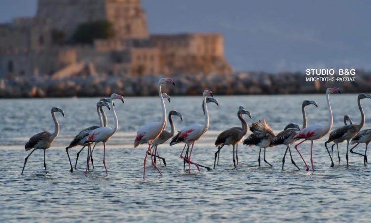 Ο τελευταίος πειρασμός δεν είναι του Καζαντζάκη αλλά επί του Μητσοτάκη, αν αποφασίσει ο γείτονας να στείλει σε ένα 24ωρο 50000 πρόσφυγες;
