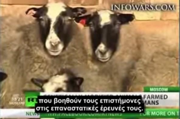 ΑΡΜΑΓΕΔΩΝ ΓΕΝΕΤΙΚΗΣ