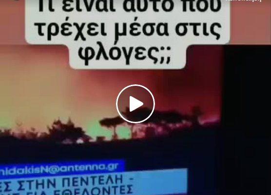 Τι ειναι αυτο που τρεχει μεσα στις φλογες ;;;;